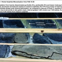FAB-18-58 Type 1 Nickel Sulphide Mineralization