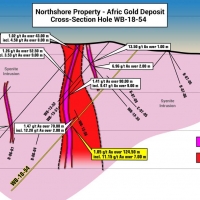 Afric Zone - 2019 Drilling Cross Section